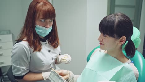 A dentist is holding a cast in her hand and talking to a client, who examining the models of crowns with a different shades in the office of the dental center.