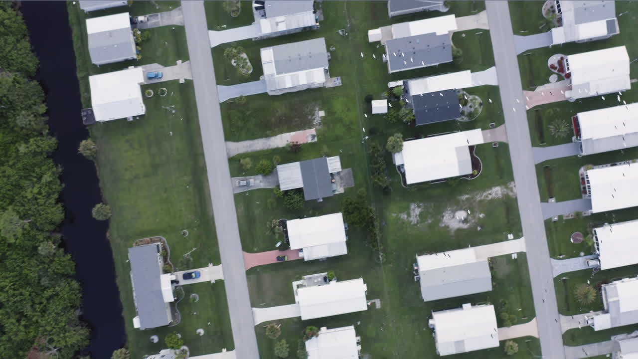 Aerial perspective reveals delicate white dots of birds scattered in fluid motion over the deep water, their organic formations contrasting the calm, shadowed lake edge lined with trees
