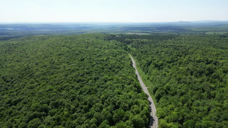 quebec, canada, america, summer, ete, amerique, road, estrie, forest, foret, drone, aerial, arbre, trees, field, nature, landscape, river, riviere, bridge, pont