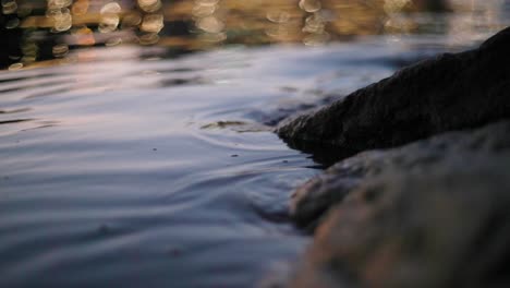small, calm waves lap over dark rocks at sunset, in front of a blurry cityscape.