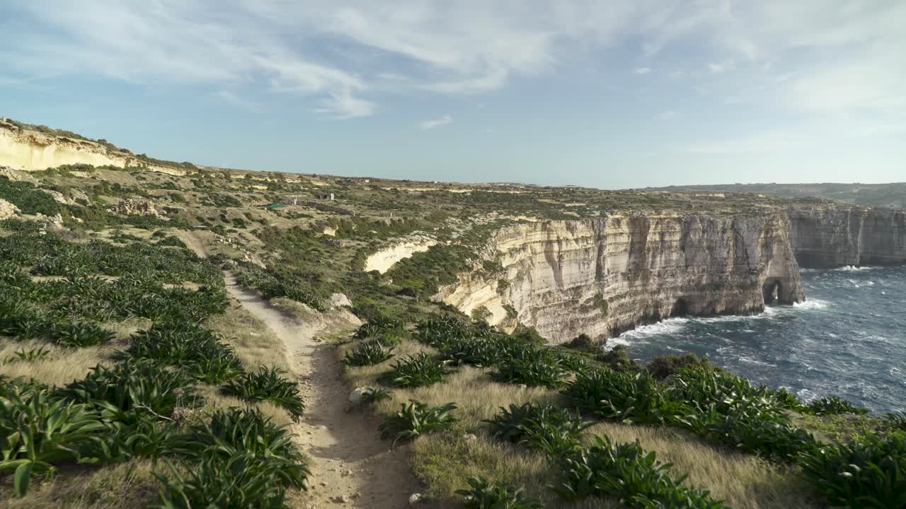 plantas que crecen en los acantilados de la ventana azul flo cerca del mar mediterráneo en malta