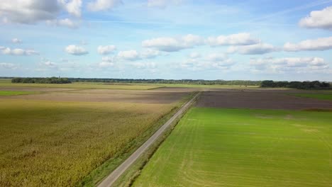 vuela sobre el campo con imágenes de drones con vista a la carretera