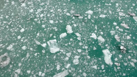 melting glacier ice floats by from arctic fiord