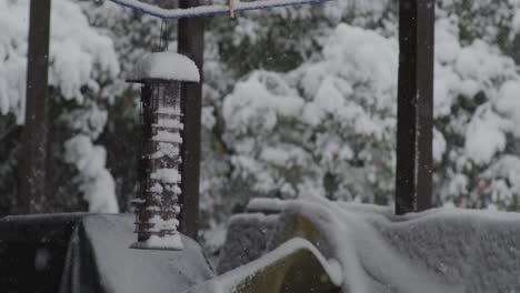 Vogelhäuschen-Mit-Schnee-Bedeckt---Zeitlupe