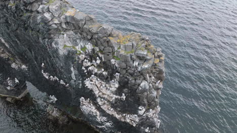 Vögel-Fliegen-über-Dem-Hvítserkur-Felsen,-Natürliches-Wahrzeichen-Islands,-Drohnen-Luftaufnahme