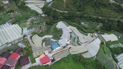 general landscape view of the brinchang district within the cameron highlands area of malaysia