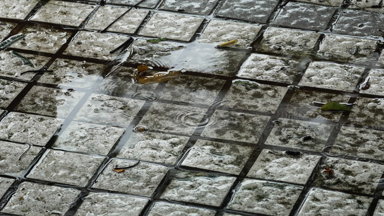 dråbende regn drypper på den asfalterede vej