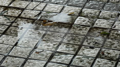 drizzling-rain-dripped-on-the-paved-road