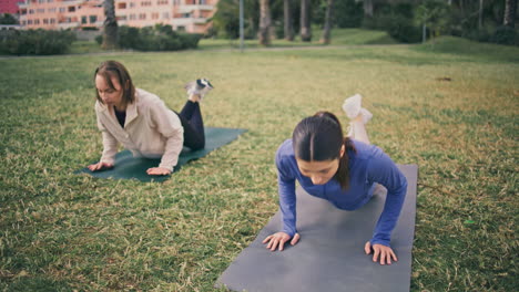 athletic ladies push up exercises at park. strong women training arms muscles