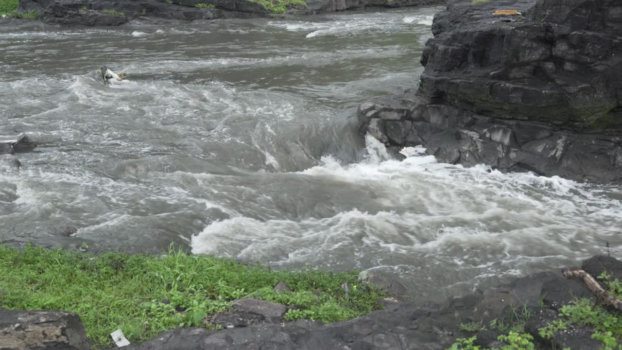 Toxic untreated sewage and industrial wastewater with foam pollutants into sacred Godavari river, Nashik, Maharashtra
