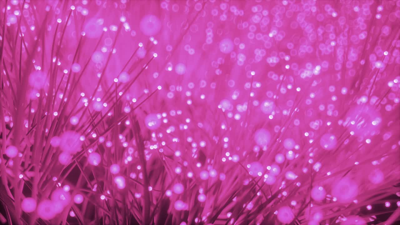추상적인 빛나는 분홍색 광섬유