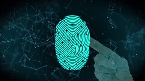 animation of online security padlocks and biometric fingerprint with neworks of connections