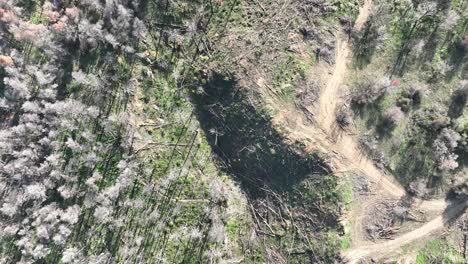 Imágenes-Aéreas-De-Un-Bosque-Quemado