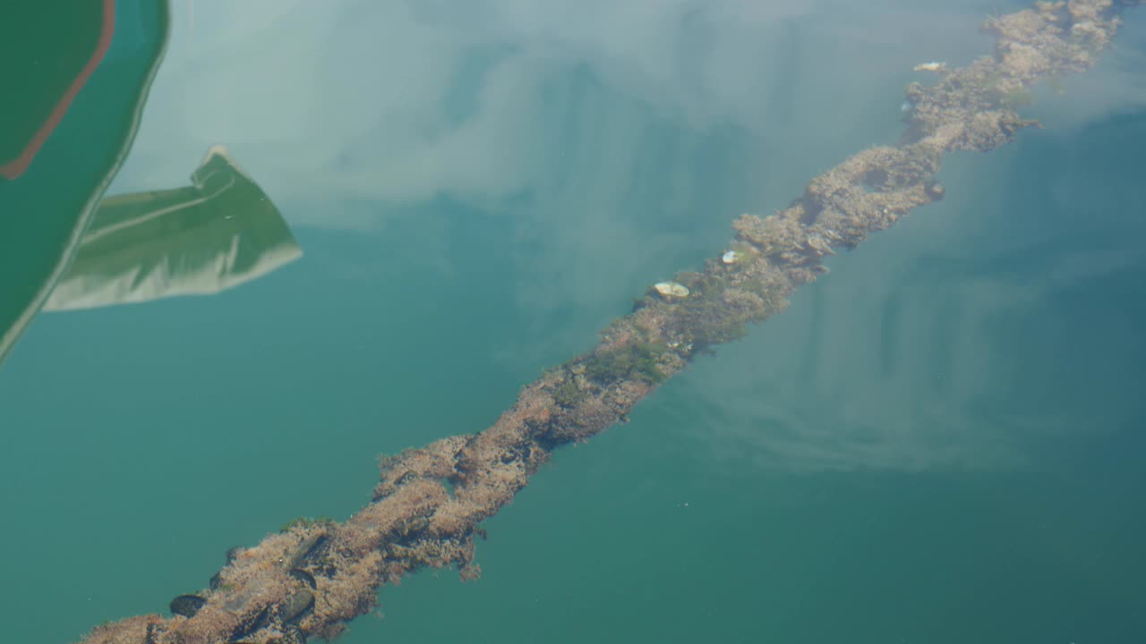 물 속 의 선박 체인