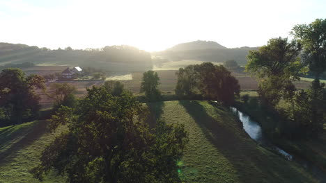 aerial shot moving backwards from a tree with the sun coming up on a beautiful summer morning