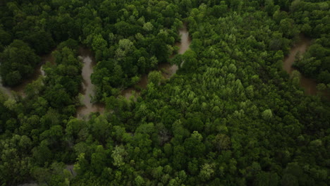 Arroyo-Sinuoso-A-Través-De-Un-Frondoso-Bosque-En-Wolf-River,-El-Condado-De-Shelby,-Tennessee,-EE.UU.