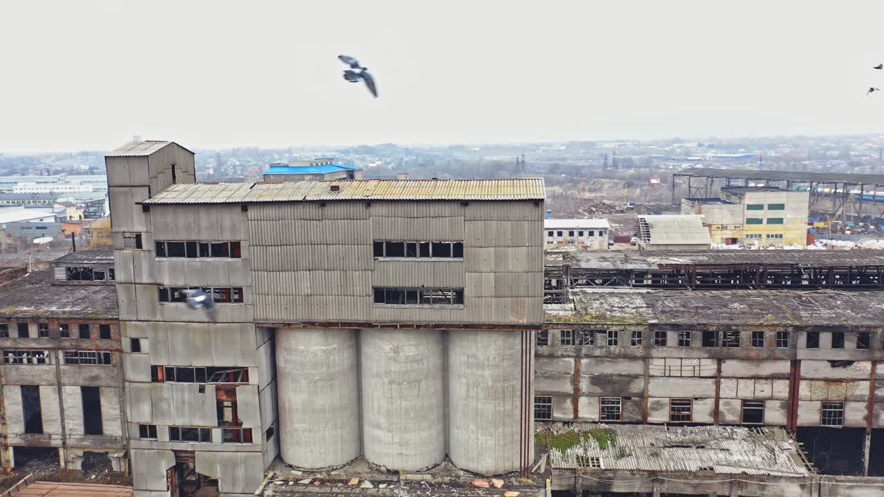 Birds fly over the desolate district with many abandoned buildings in a big city after the military actions. Flying over the ruined city