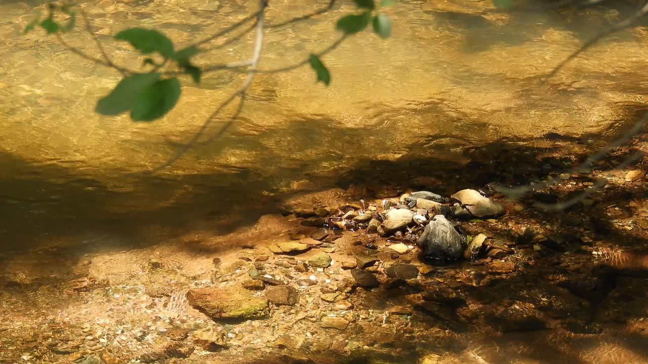 Crystal clear fresh mountain waterfall crocodile river water sparkling and flowing over rocks and pebbles in the background at the walter sisulu national botanical gardens in roodepoort, South Africa