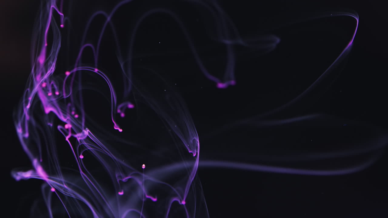замедленное видео фиолетового акварельного чернила, смешивающегося с водой на черном фоне