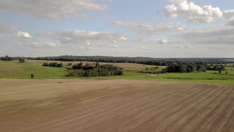 aerial shot on swowing field after harvest, brown area waiting for gorwing plants, on horizont trees and beautiful sky, drone shot