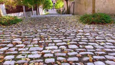 a paved street in the old town with lots of steps and autumn leaves