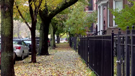 man walking dog on a city sidewalk in autumn