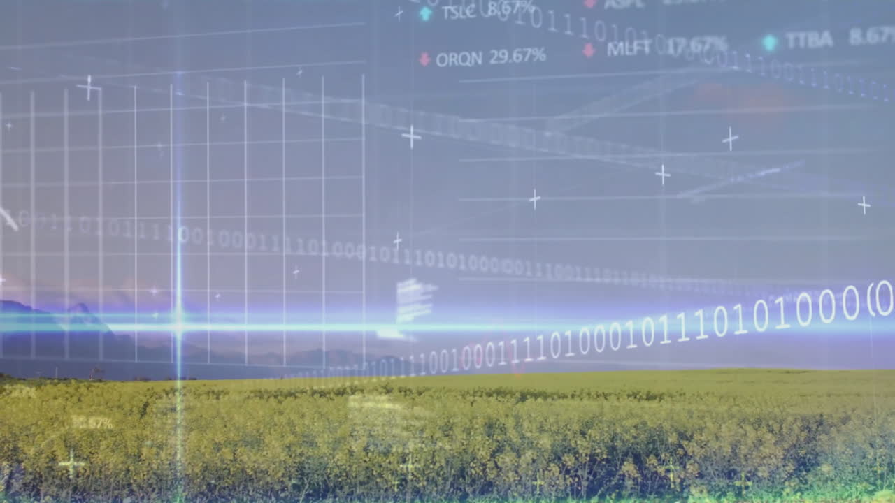 주식 시장의 애니메이션 및 현장 데이터 처리