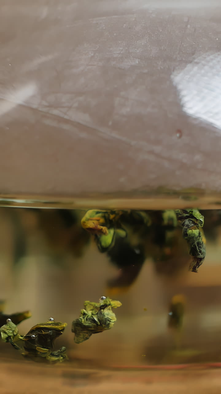 Close-up of Oolong Tea Leaves Steeping in Glass Teapot