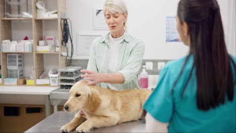 Frau,-Tierarzt-Und-Hund-Auf-Dem-Tisch-Zur-Beratung