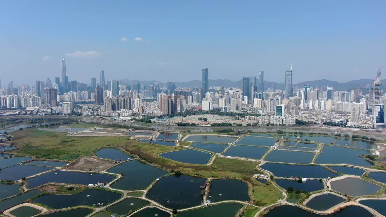veduta aerea sullo skyline di shenzhen in una bella giornata limpida
