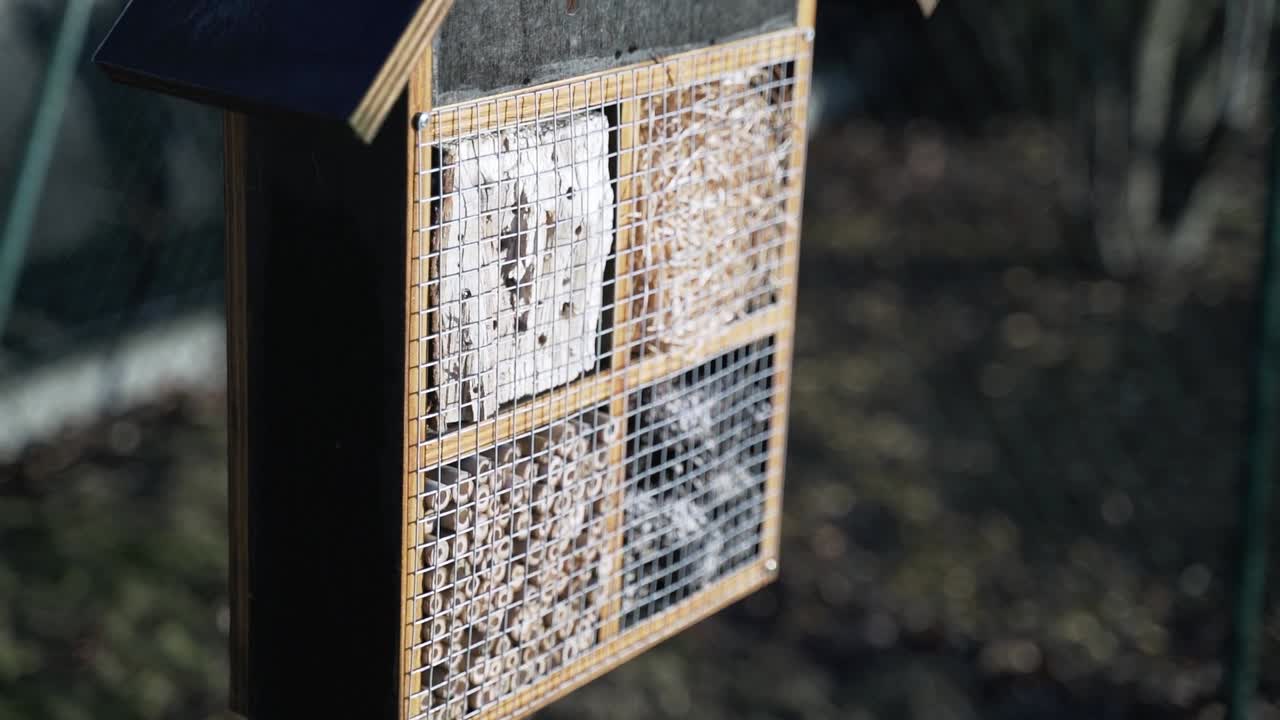 Insekthotel i haven i solskin