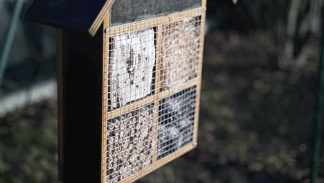 insect-hotel-in-garden-with-sun