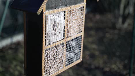 insect hotel in garden with sun