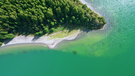 aerial forest lake landscape on summer day. shimmering water surface reflecting