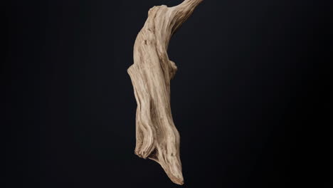 textured driftwood branch on black background