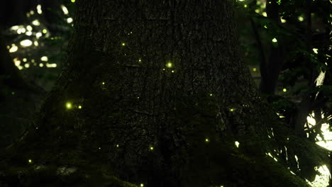 twinkling fireflies illuminate a forest at night near a massive tree trunk