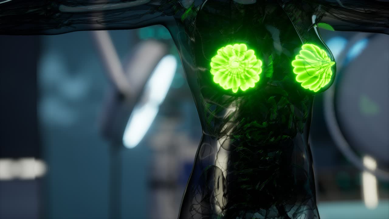 여성 유방 의 의학적 검사