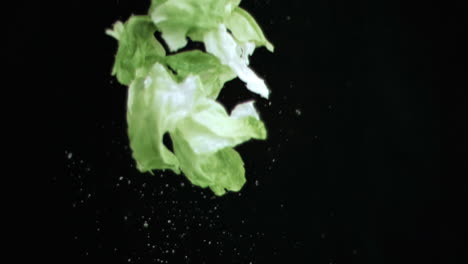 lettuce thrown upwards in super slow motion