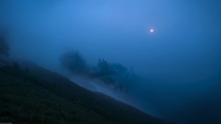 Brezza agitata che sposta la nebbia della valle attraverso una collina erbosa e alberi di conifere al crepuscolo, al chiaro di luna