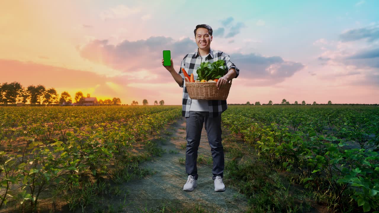 에 서 있는 동안 녹색 화면 휴대전화를 보여주는 채소 바구니와 함께 아시아 남성 농부의 전체 몸