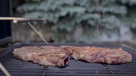 condimentar los filetes en una barbacoa con especias en cámara lenta