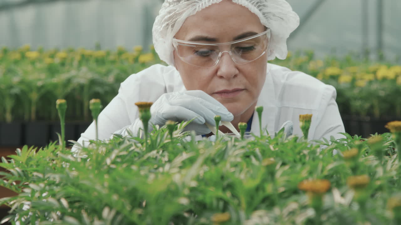 Agricultural Scientist Doing Research on Plants in Hothouse