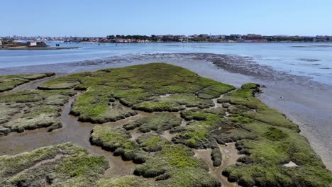 Vuelo-Rápido-Sobre-El-Agua-Y-La-Isla-De-Los-Pájaros-Entre-Seixal-Y-Corrois