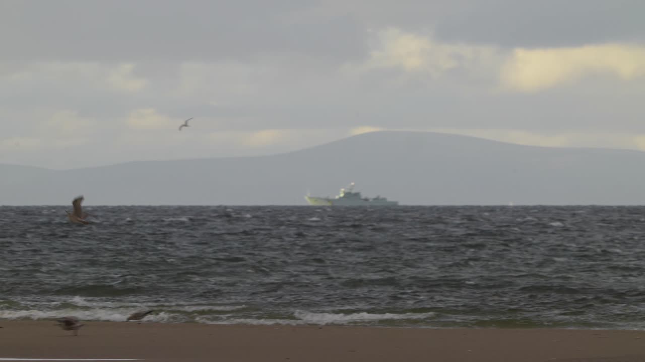 수평선에 배를 타고 바다 근처를 날고 있는 갈매기들