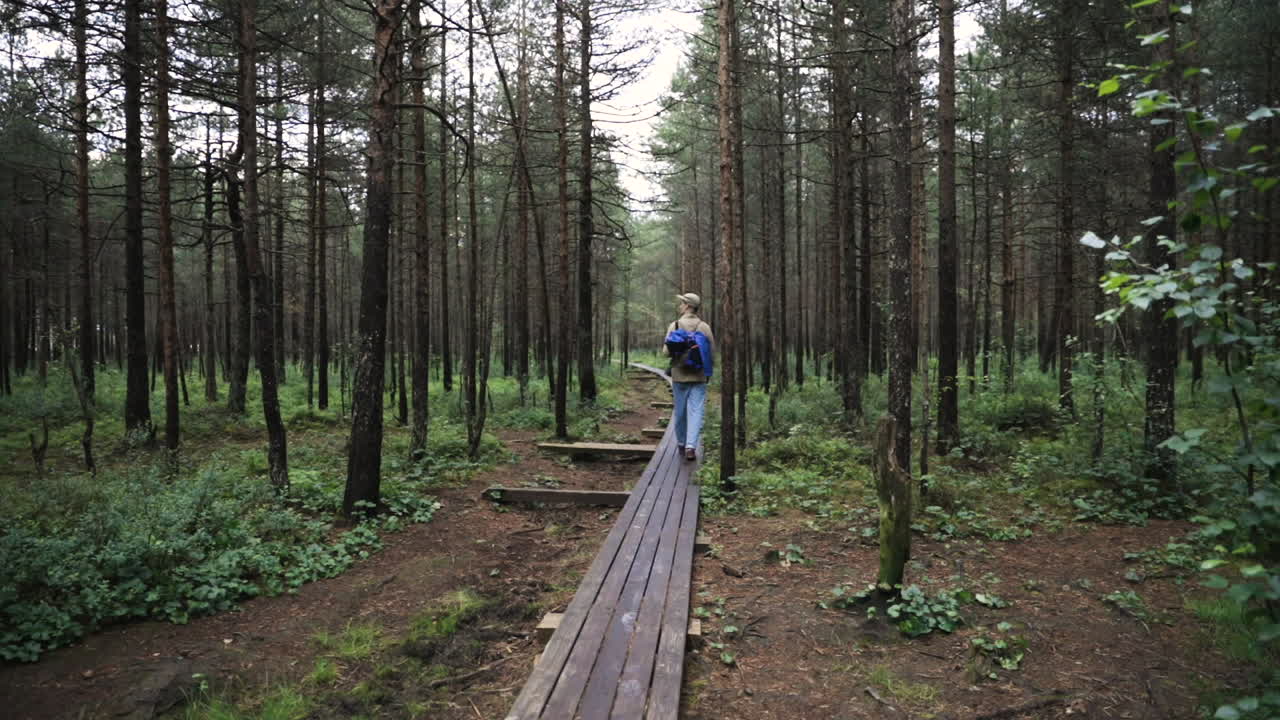 Man walks through forest on wooden pathway, slow pan from behind