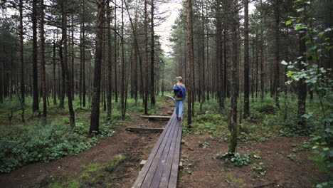 man walks through forest on wooden pathway, slow pan from behind