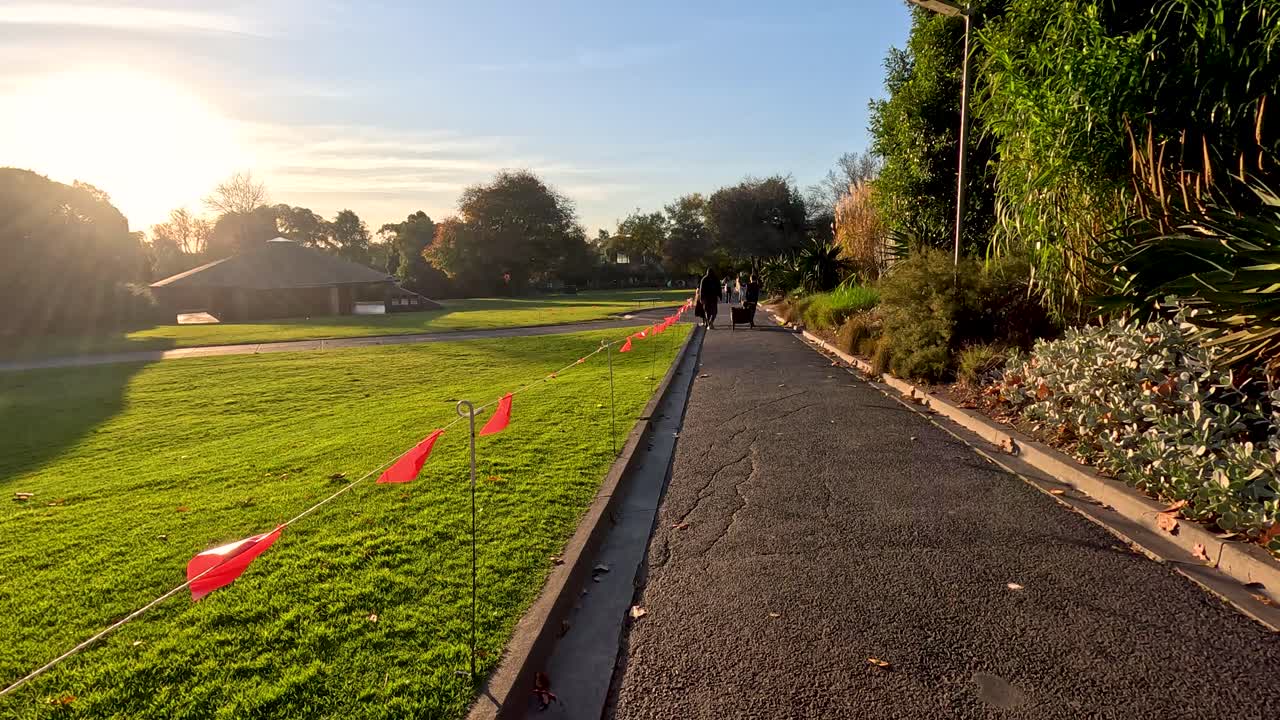 동물원 길 을 따라 는 사람 들