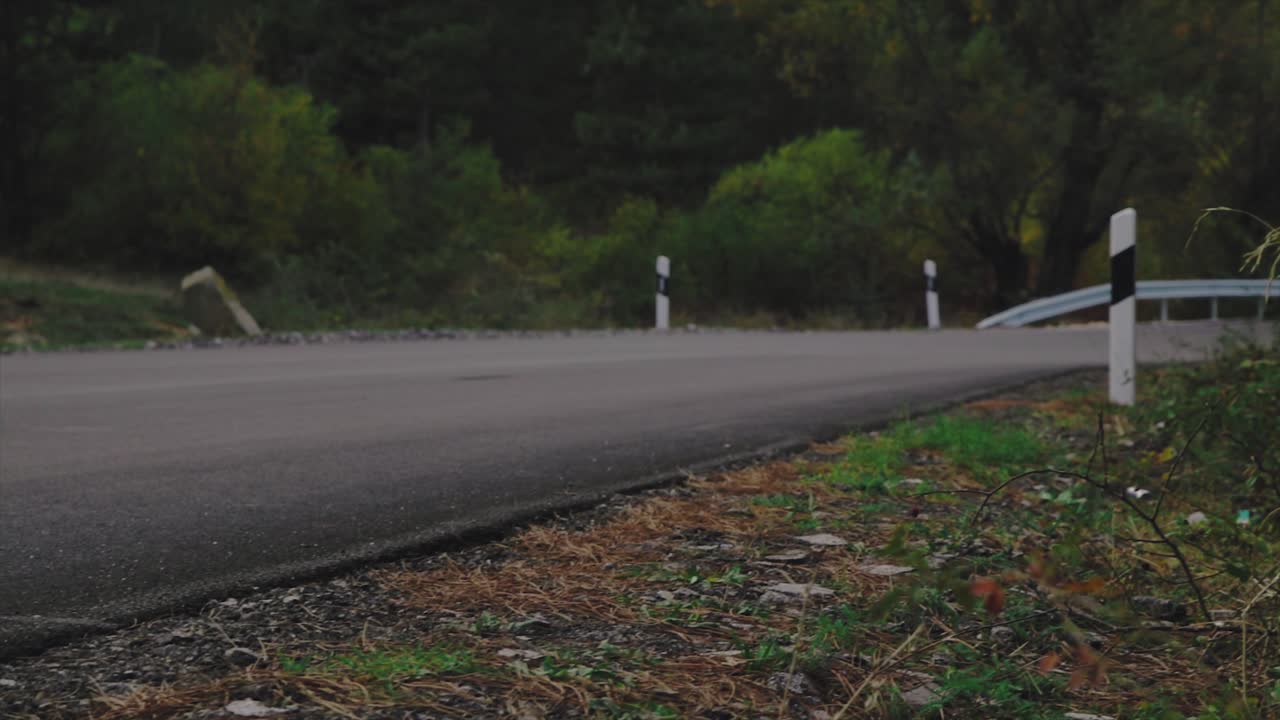 camino de campo a través del bosque