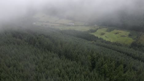 Drone-shot-emerging-out-of-a-cloud,-revealing-a-green-lush-valley