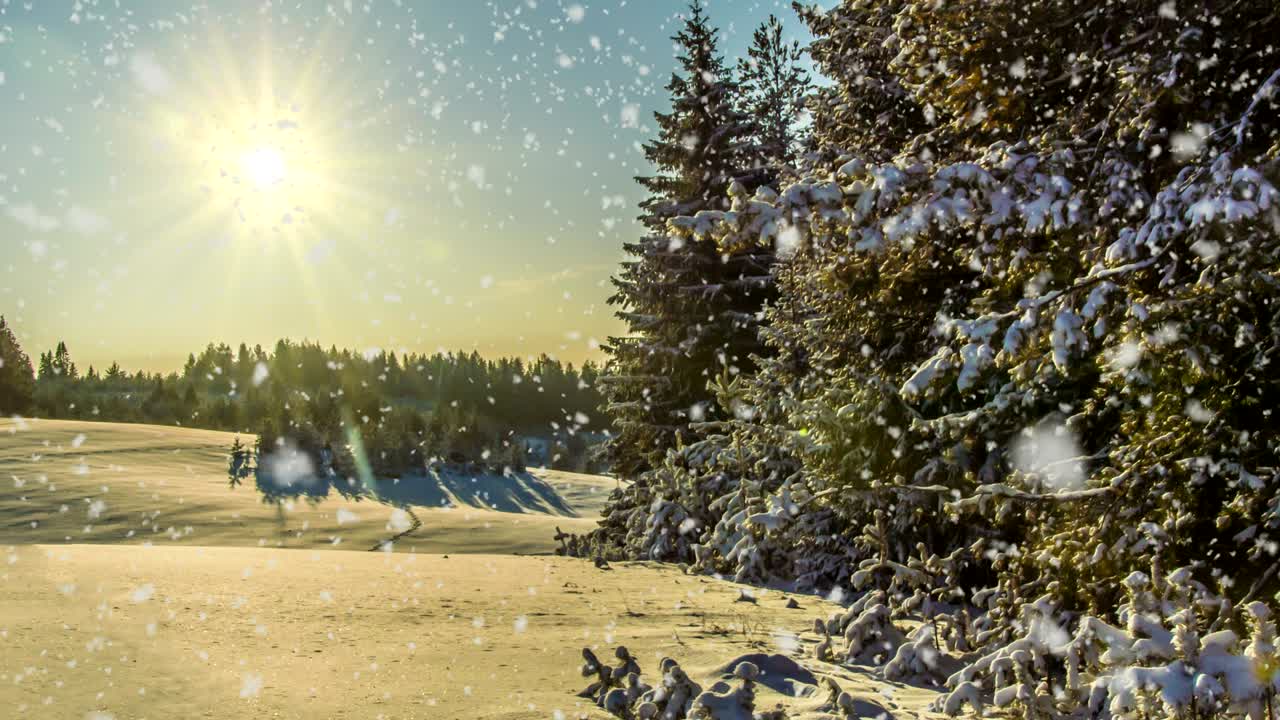 cinemagraph, 4k, nieve cayendo en el bosque de invierno, bucle